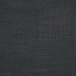 Anthracite Fabric Swatch